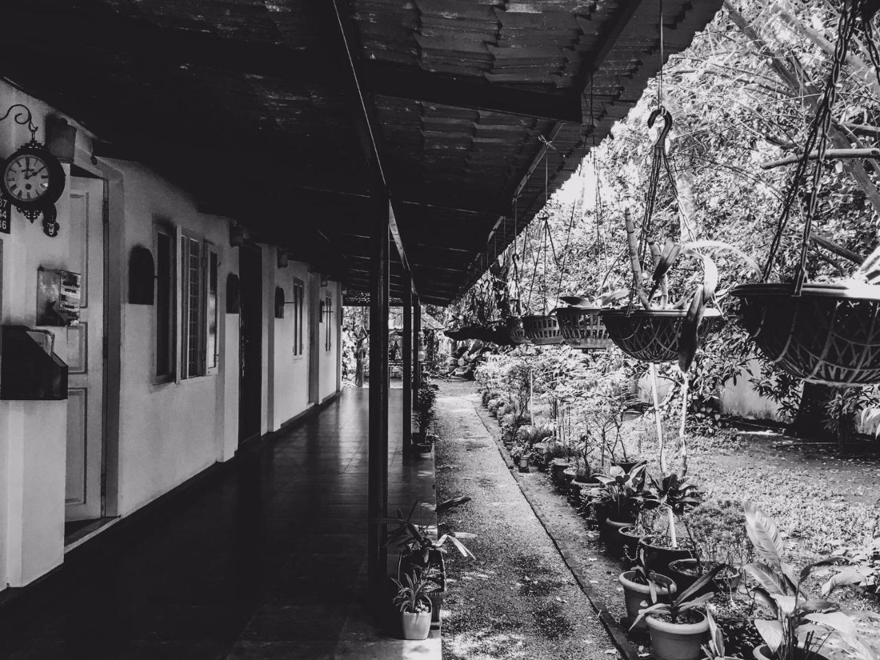Palm Grove Service Villa Kochi Buitenkant foto