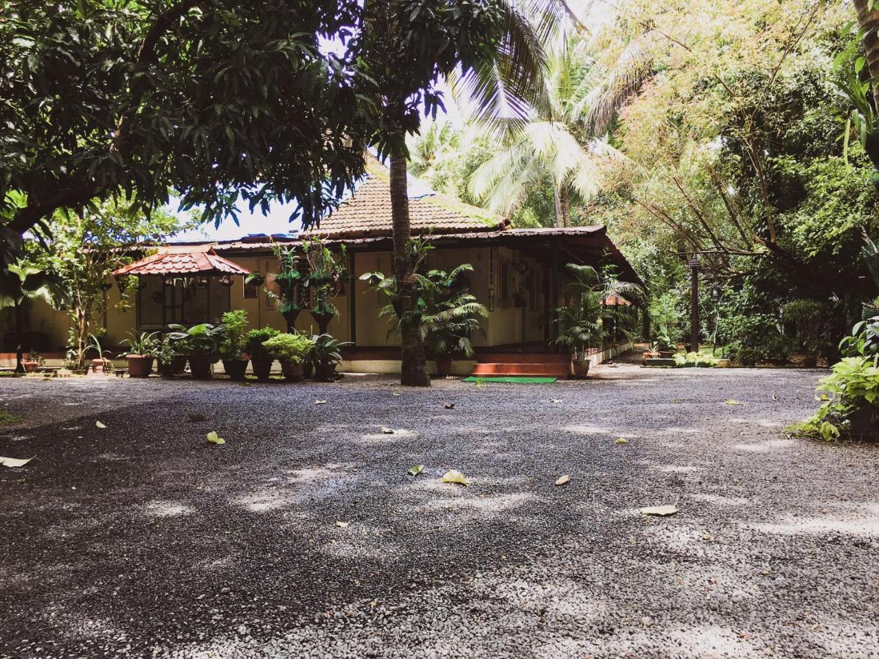 Palm Grove Service Villa Kochi Buitenkant foto