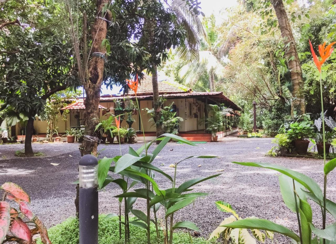 Palm Grove Service Villa Kochi Buitenkant foto